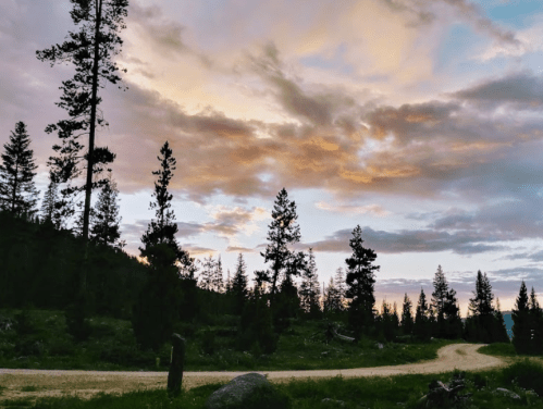 A winding dirt road surrounded by tall trees under a colorful sunset sky with scattered clouds.