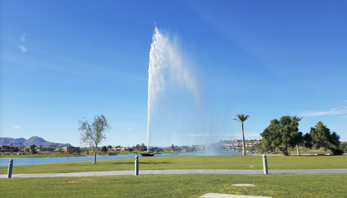 A tall fountain sprays water into a clear blue sky, surrounded by green grass and palm trees near a lake.