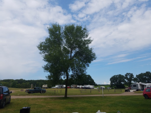 A grassy area with a large tree and parked RVs in the background under a partly cloudy sky.