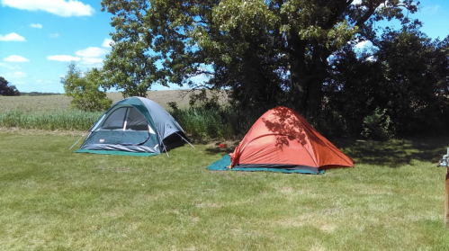 Two tents, one gray and one orange, set up on a grassy area with trees and a field in the background under a blue sky.