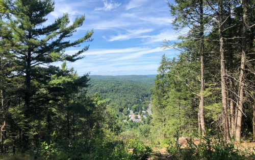A scenic view of a valley surrounded by trees under a blue sky with wispy clouds.