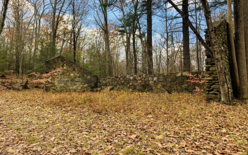 Ruins of a stone structure surrounded by trees and fallen leaves in a forested area during autumn.