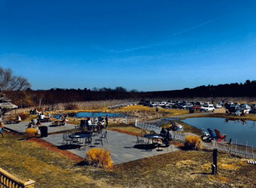 A scenic outdoor area with tables, ponds, and people enjoying the sunny day, surrounded by trees and parked cars.