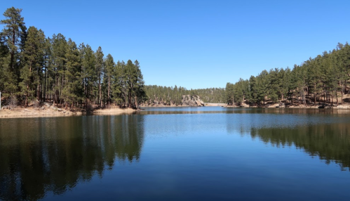 A serene lake surrounded by tall pine trees under a clear blue sky, reflecting the landscape in calm waters.