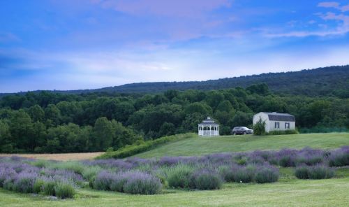 A serene landscape featuring a house, gazebo, and lavender fields against a backdrop of green hills and a blue sky.