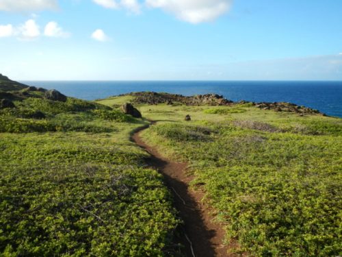 A winding dirt path through lush green grass leads to a serene ocean view under a clear blue sky.