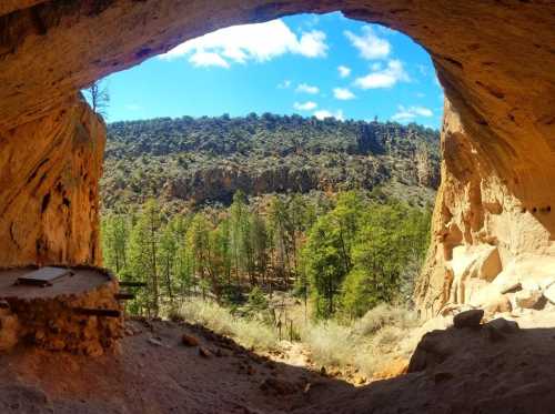 View from a cave opening, showcasing a landscape of trees and hills under a blue sky with scattered clouds.