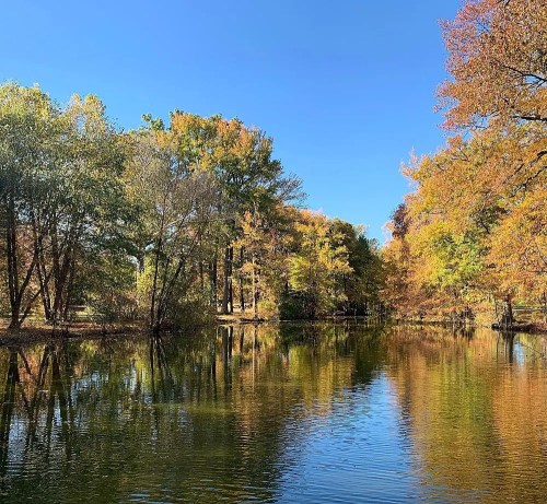 A serene lake surrounded by trees with vibrant autumn foliage under a clear blue sky.