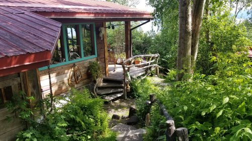 A rustic cabin surrounded by lush greenery, featuring a wooden deck and a pathway leading through the plants.