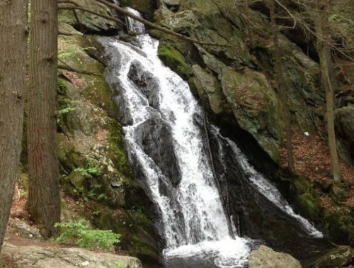 A serene waterfall cascading over rocks, surrounded by lush greenery and tall trees in a tranquil forest setting.