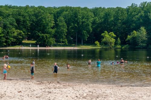A sandy beach with people swimming and playing in a calm lake surrounded by lush green trees.