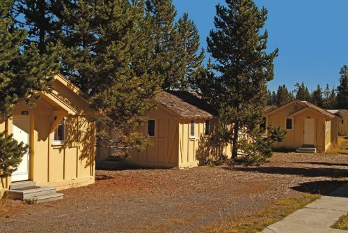 Three yellow cabins nestled among tall trees under a clear blue sky, with a gravel path in the foreground.
