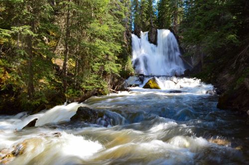 A cascading waterfall surrounded by lush green trees and flowing river water under a clear blue sky.
