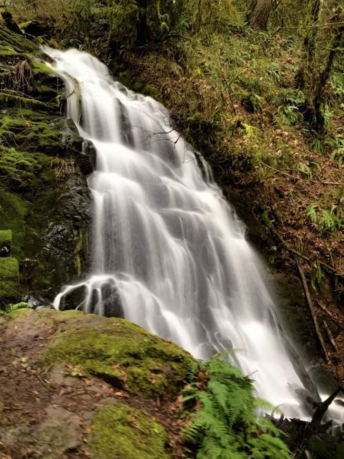 A serene waterfall cascading over rocks, surrounded by lush green foliage and moss in a tranquil forest setting.
