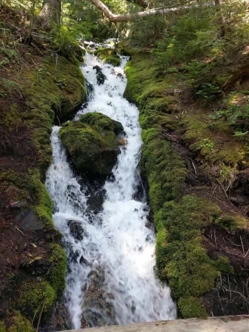 A serene waterfall cascading over moss-covered rocks in a lush, green forest.