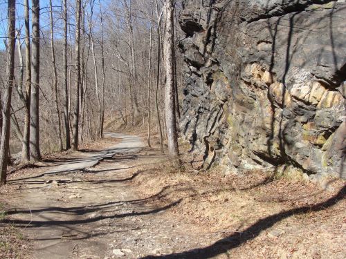 A winding dirt path through a forest with bare trees and a rocky cliff on one side.