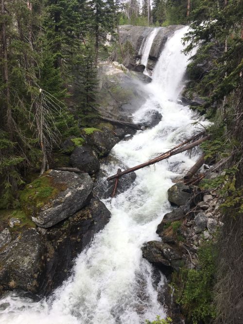 A cascading waterfall flows over rocks, surrounded by lush green trees and mist in a serene natural setting.