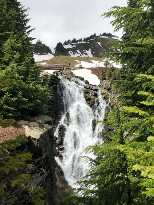 A cascading waterfall surrounded by lush green trees and snow-capped mountains in a scenic landscape.