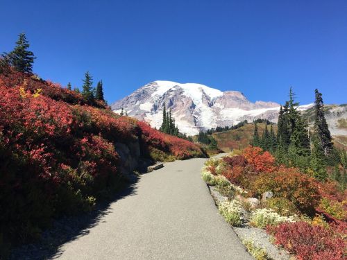 A scenic pathway leads through vibrant autumn foliage, with a snow-capped mountain in the background under a clear blue sky.