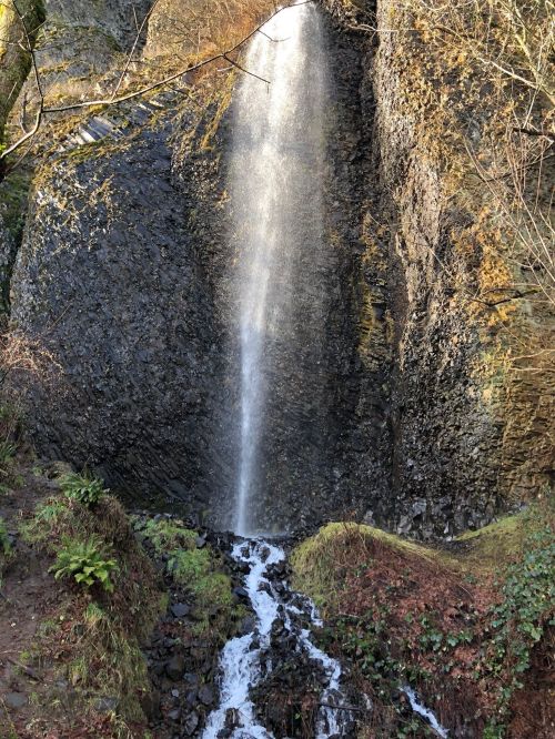 A waterfall cascading down rocky cliffs, surrounded by lush greenery and autumn foliage.