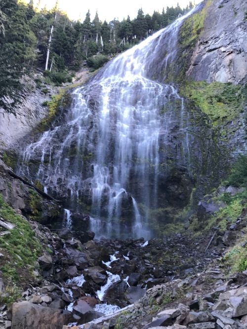 A cascading waterfall flows down rocky terrain, surrounded by lush greenery and tall trees.