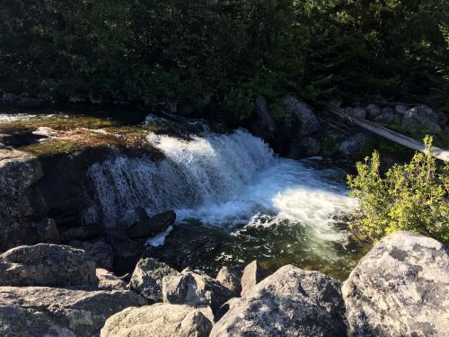 A serene waterfall cascades over rocks into a clear stream, surrounded by lush greenery and boulders.