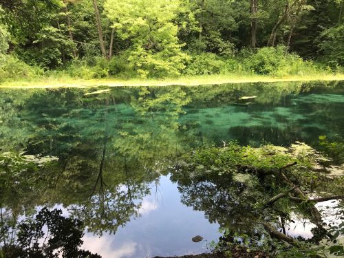 A serene pond surrounded by lush greenery, reflecting trees and plants in its clear water.