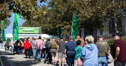 A long line of people waiting to enter Picklefest, with green banners and trees in the background.