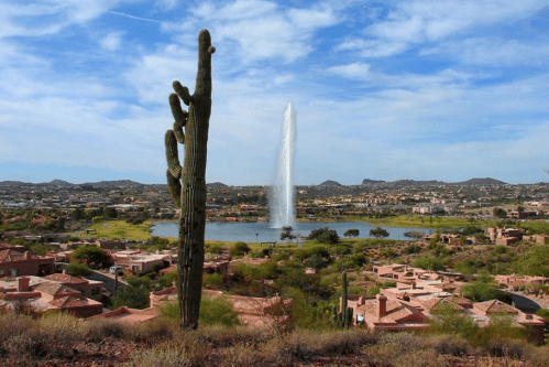 A scenic view of a lake with a fountain, surrounded by desert landscape and homes, with a tall cactus in the foreground.