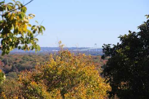 A scenic view of colorful autumn trees with a distant bridge visible against a clear blue sky.