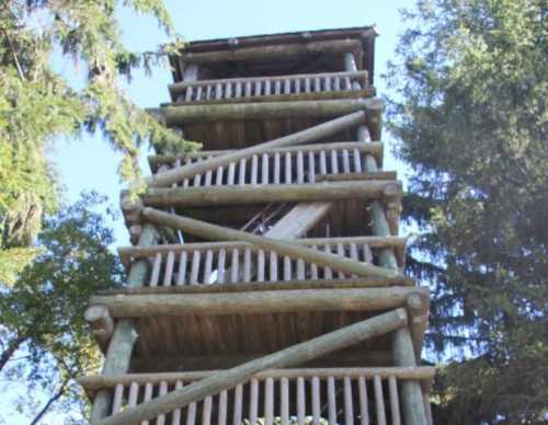 A tall wooden observation tower surrounded by trees, featuring a ladder and open platforms at various levels.