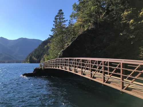 A wooden bridge curves over a blue lake, surrounded by green trees and mountains under a clear blue sky.