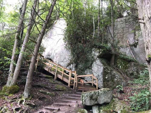 A wooden staircase leads up through a forested area with large rocks and trees surrounding it.
