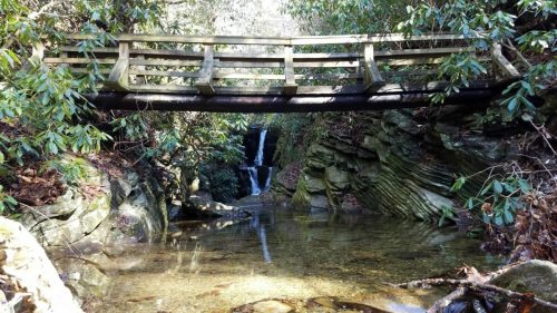 A wooden bridge spans a serene stream surrounded by lush greenery and rocky cliffs, with a small waterfall in the background.