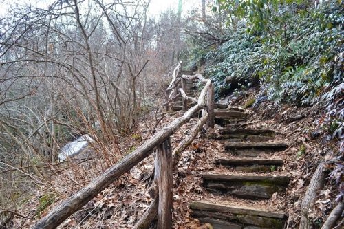 A winding wooden staircase leads through a wooded area with bare trees and lush greenery.