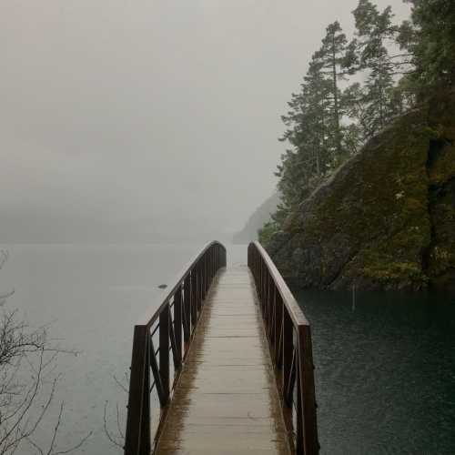 A wooden bridge leads into a foggy landscape with trees and a calm body of water in the background.