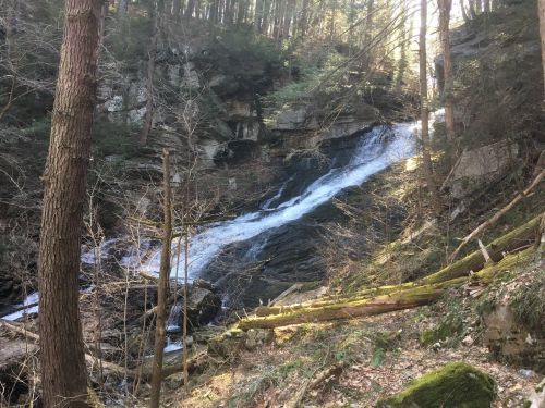 A serene waterfall cascading down rocky terrain, surrounded by trees and natural foliage in a forest setting.