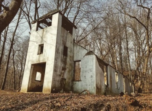 Abandoned white building in a forest, partially collapsed, surrounded by bare trees and fallen leaves.