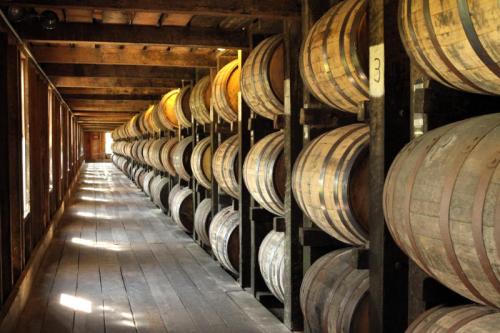 A dimly lit warehouse with wooden barrels neatly arranged on shelves, creating a rustic and atmospheric setting.