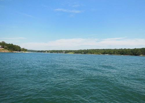 A serene view of a calm river surrounded by lush greenery under a clear blue sky.