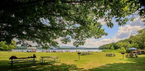 A serene lakeside scene with green grass, picnic tables, and people enjoying the water under a blue sky with fluffy clouds.