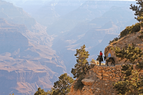 Two riders on horseback overlook the Grand Canyon, surrounded by trees and rocky terrain in soft morning light.