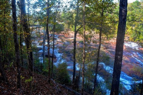 A serene river flows through a forested area, with rocky banks and sunlight filtering through the trees.