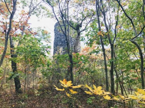 A stone tower partially hidden among trees with autumn leaves in a forested area.