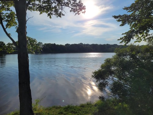 A serene lake scene with a tree in the foreground, reflecting sunlight and surrounded by lush greenery.