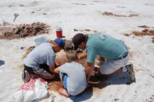 A man and two boys dig in the ground on a sandy surface, focused on their excavation activity.