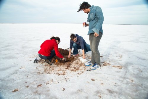 Three people digging in the ground on a vast, white salt flat under a cloudy sky.