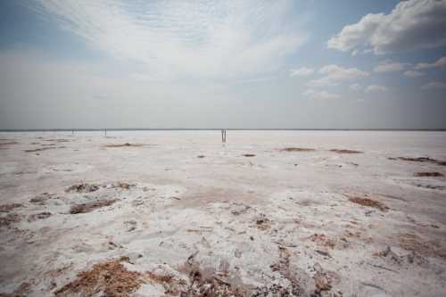 A vast, dry salt flat under a cloudy sky, with sparse vegetation and distant poles visible on the horizon.