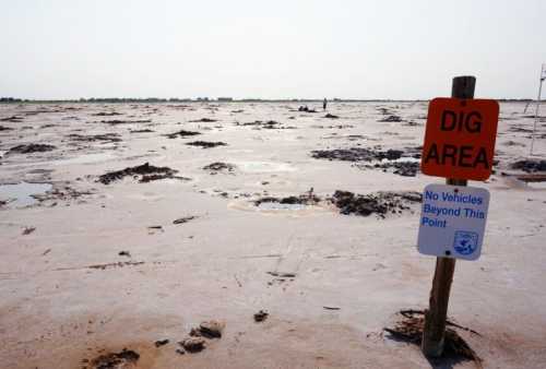 A barren landscape marked by a "Dig Area" sign, with muddy ground and no vehicles allowed beyond this point.