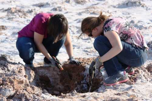 Two people crouch down, examining a large hole in a sandy area, using tools and wearing gloves.